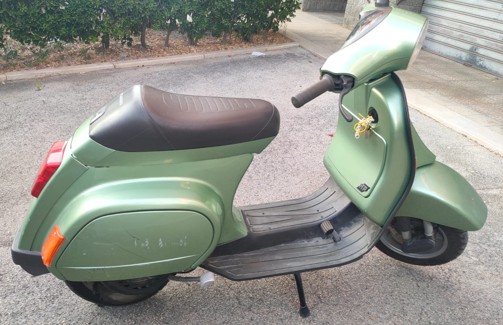 immagine2